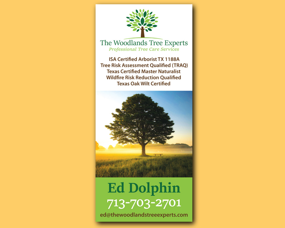 woodlands tree experts rack card